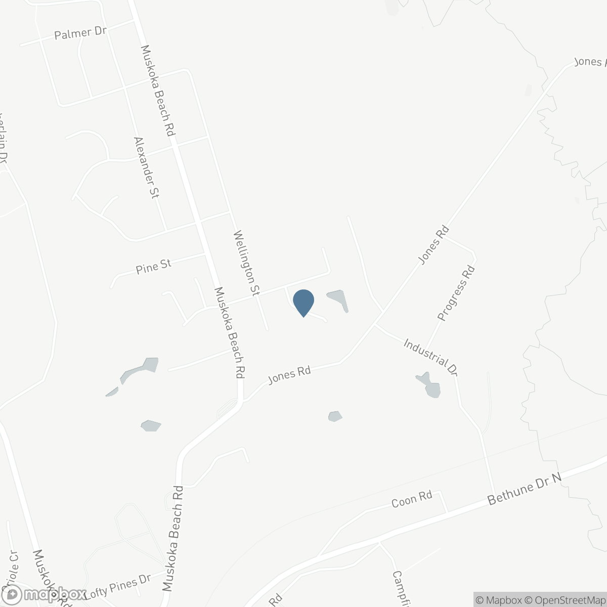 200 DAFFODIL COURT, Gravenhurst, Ontario P1P 0B8